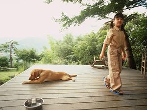 auが提供する安心のペット保険