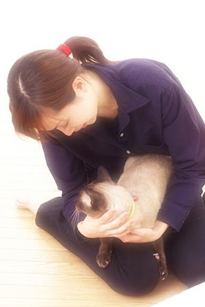 飼い主も満足できる京都市の動物病院