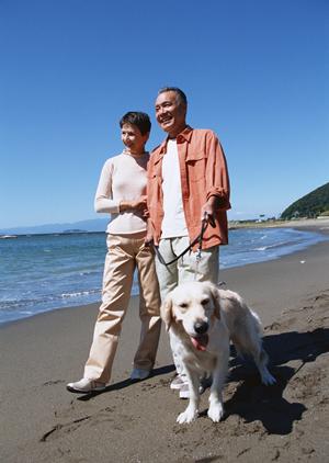 秦野市の動物病院による診療の内容